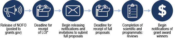 Grant process: Release of NOFO (posted to grants.gov), Deadline for receipt of LOI*, Begin releasing notifications and invitations to submit full proposals, Deadline for receipt of full proposals, Completion of scientific and programmatic reviews, Begin notifications of grant award winners.