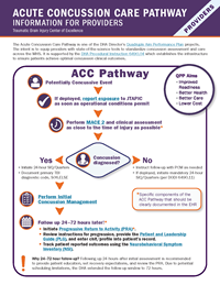Thumbnail image of the downloadable fact sheet on the acute concussion care pathway.