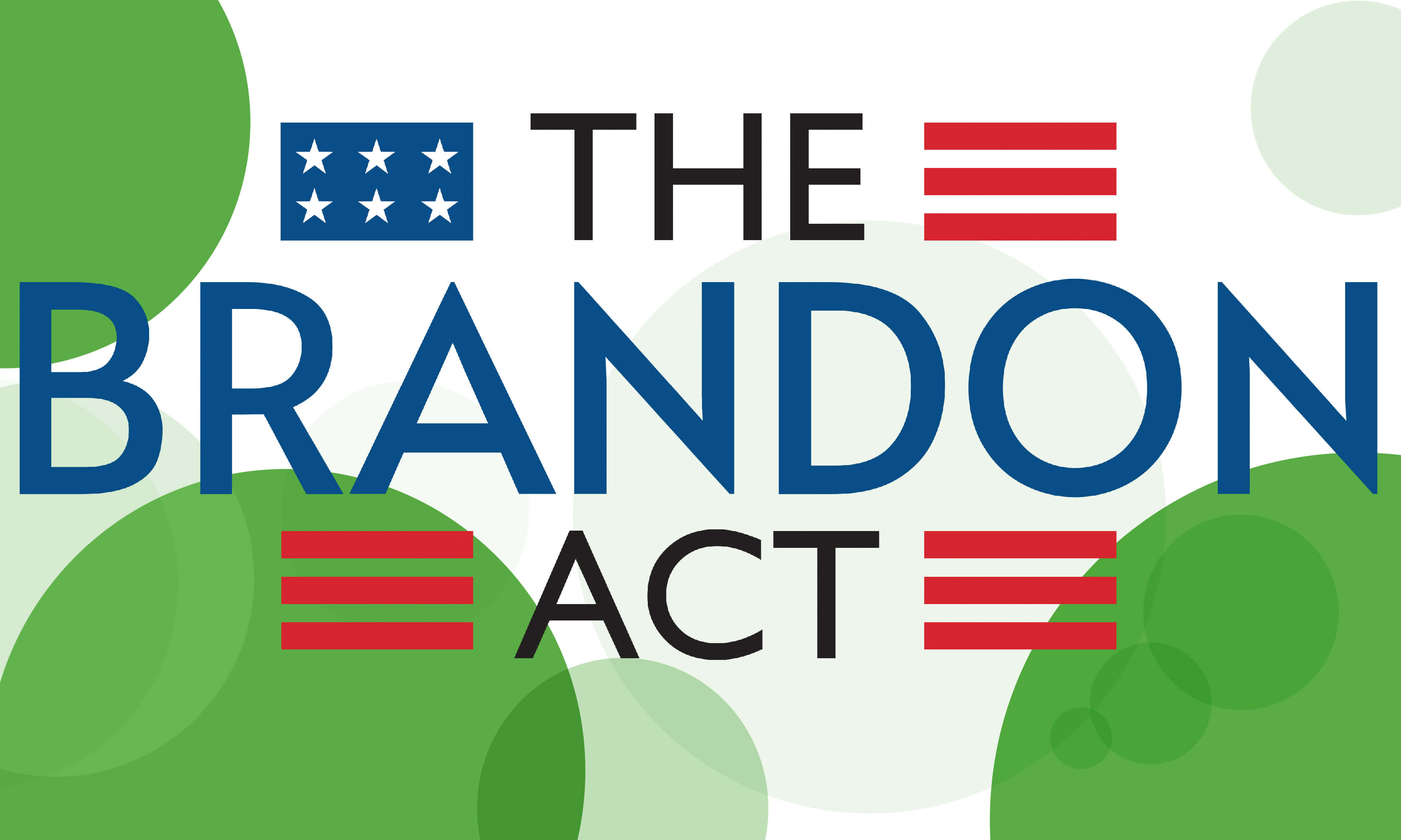 The Brandon Act