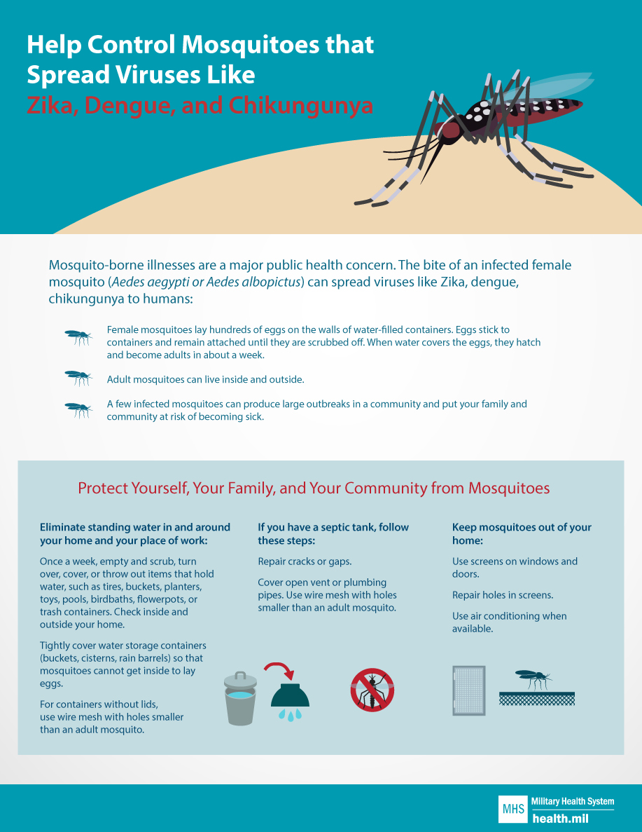 Infographic about preventing Mosquitoes