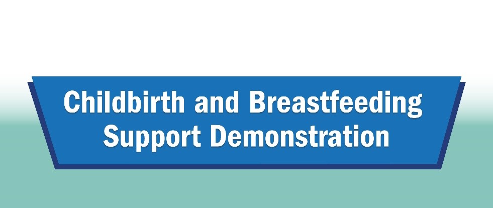 Childbirth and Breastfeeding Support Demonstration Banner