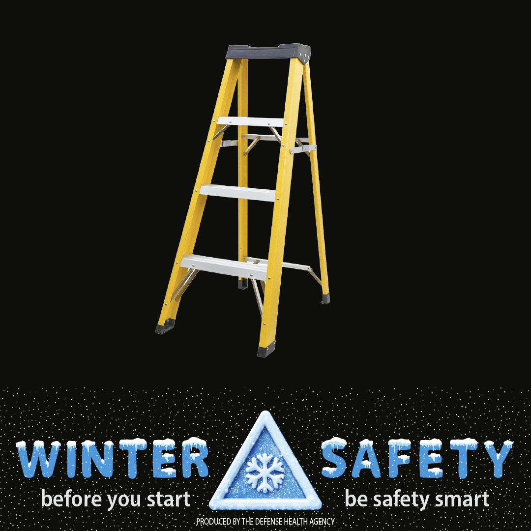 Link to Infographic: Home Preparation Winter Safety 