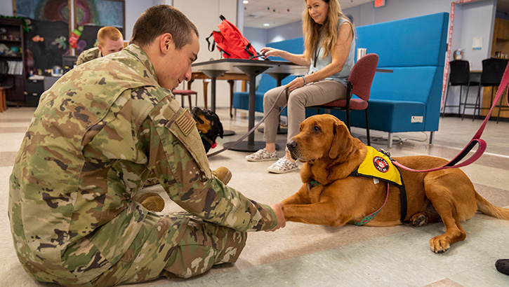 An airman in training from the 81st Training Group plays with a therapy dog at the Levitow Training Support Facility on Keesler Air Force Base, Mississippi, on July 13, 2023. Volunteer teams of therapy animals and their handlers visit the 81st TRG weekly to help alleviate stress for airmen. (U.S. Air Force photo by Senior Airman Kimberly L. Tou)