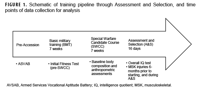 FIGURE 1. Schematic of training pipeline through Assessment and Selection, and time points of data collection for analysis