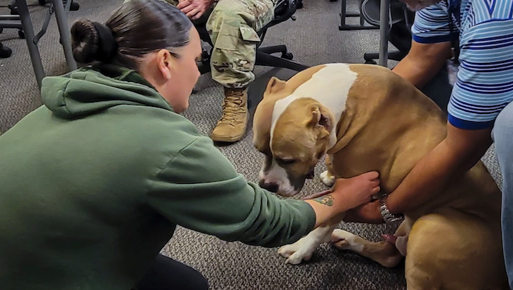 Military personnel teaching a dog at Ft. Campbell Vet Clinic