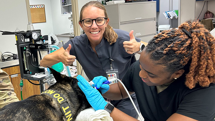 U.S. Army Capt. Blakely McCormick, from Brown Dental Clinic gives the thumbs up signal as she observes veterinary technician, U.S. Army Spec. Shaniah Bethley during a dental exam and cleaning on a military working dog at Fort Novosel, Alabama. (Photo by Janice Erdlitz/Lyster Army Health Clinic)