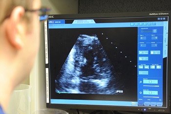 Military health personnel looking at an echocardiogram 