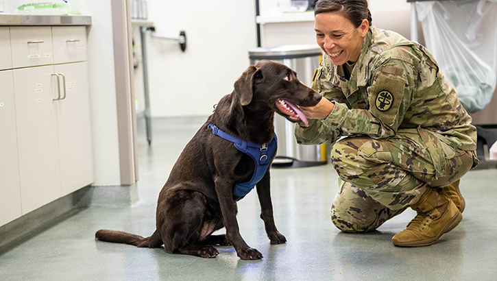 Dr. (Maj.) Meghan Louis, Director of Veterinary Services at Public Health Command-Pacific, greets chocolate lab Sadie, prior to her appointment at Fort Shafter Veterinary Treatment Facility. (Photo by Kathryne Gest, U.S. Army Pacific Public Health Command)
