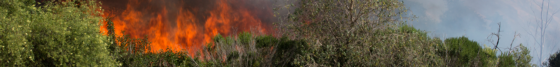 Fire burns through foliage aboard Marine Corps Base Camp Pendleton, Calif., May 16. Marines, Sailors and California firefighters battled together against multiple fires as areas of the installation evacuated to safety.